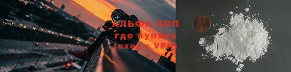 дживик Гусев