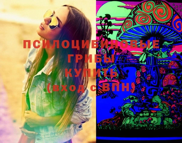 ГАЛЛЮЦИНОГЕННЫЕ ГРИБЫ Магас