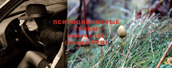 гидропоника Кирсанов