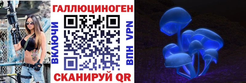 мега ссылка  Михайлов  Галлюциногенные грибы Cubensis 